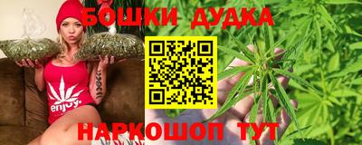 индика Заводоуковск