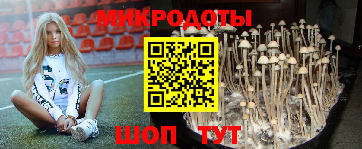 Новокуйбышевск  где продают наркотики  Вход с VPN  Галлюциногенные грибы Psilocybe 